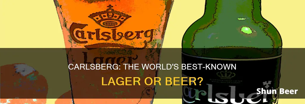 is carlsberg a beer or lager