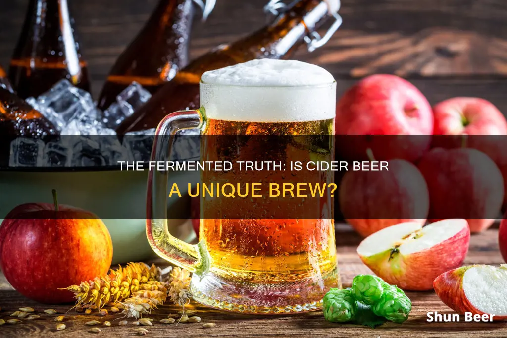 is cider beer a fermented food