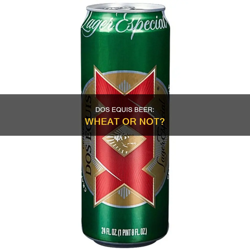 is dos equis a wheat beer