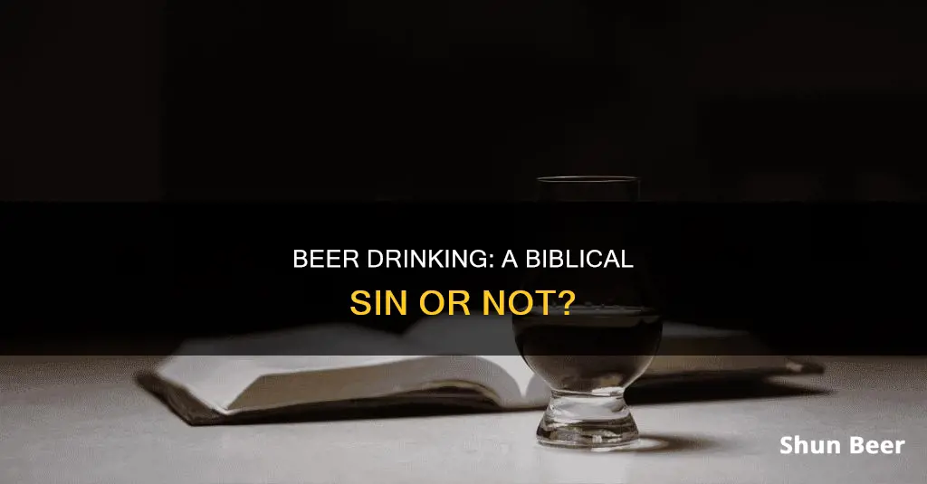 is drinking beer a sin in the bible