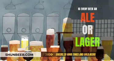 Understanding the Beer Spectrum: Ale vs. Lager