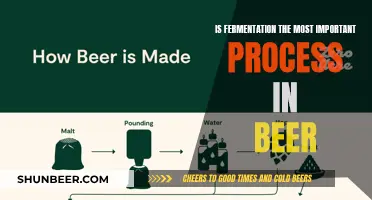 Fermentation: The Heart of Beer's Magic