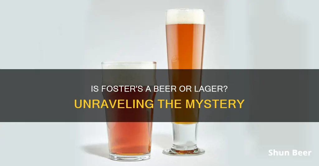 is fosters a beer or lager