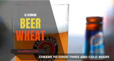 German Beer: Wheat, Wonder, and Beyond