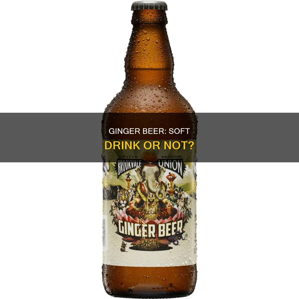 is ginger beer a soft drink