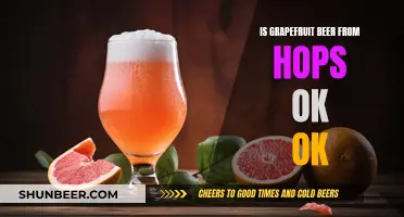 Grapefruit Beer: Hops-Infused Refreshment or Not?