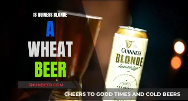 Guinness Blonde: Wheat Beer or Not?