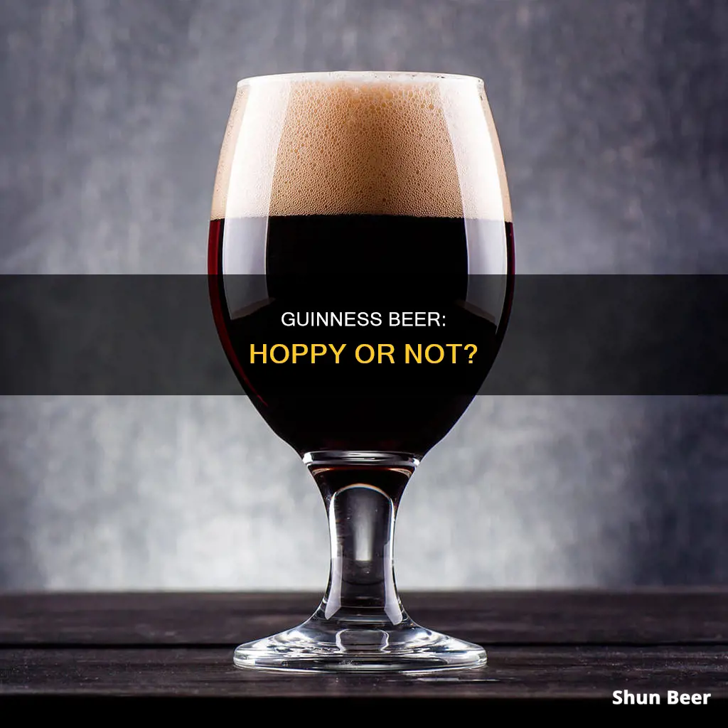 is guinness a hoppy beer