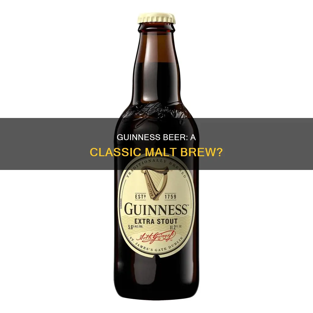 is guinness a malt beer