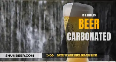 Guinness Beer: Carbonation Secrets Revealed