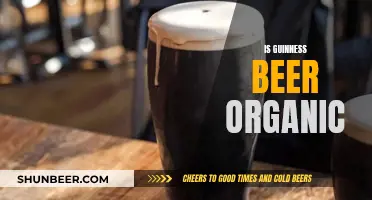 Guinness Beer: Organic or Not?