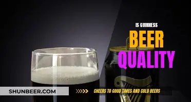 Guinness Beer Quality: Is It Worth the Hype?