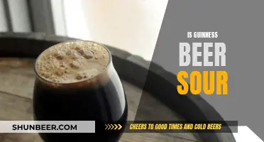 Guinness Beer: Sour or Not?