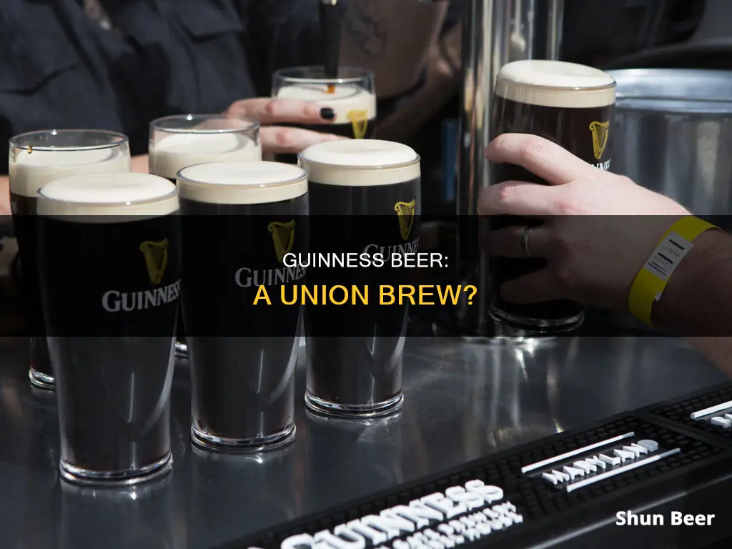 is guinness beer union