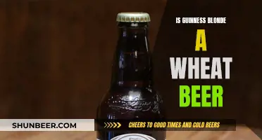 Guinness Blonde Ale: Wheat Beer or Not?