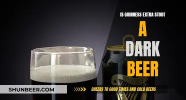 Stout Beer Basics: Guinness Extra Stout's Dark Side