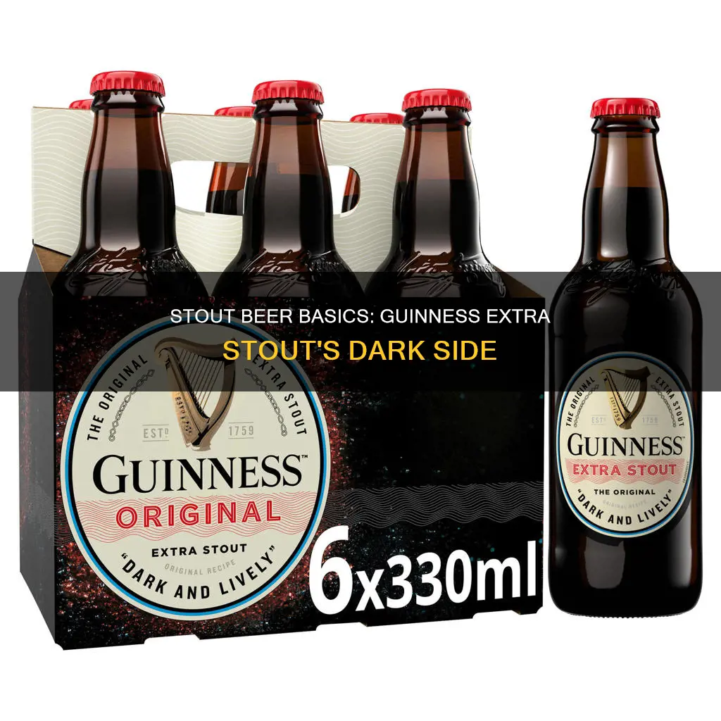 is guinness extra stout a dark beer