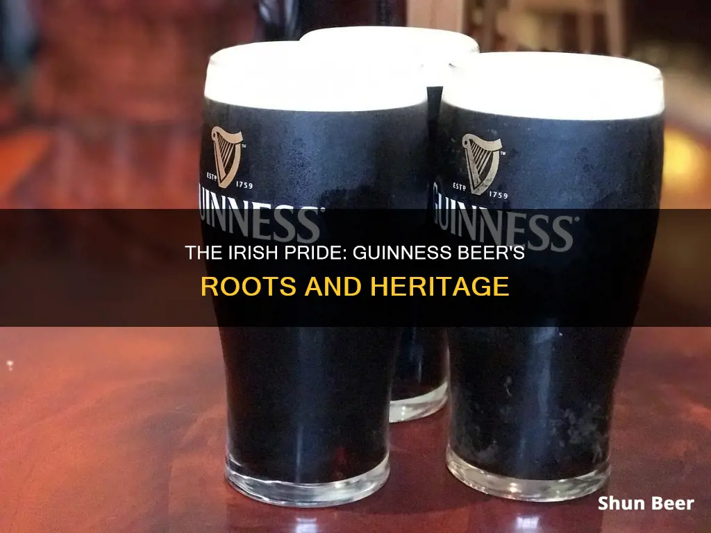 is guinness irish beer