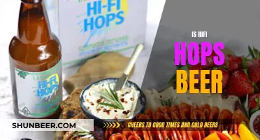 Hifi Hops Beer: A Unique Blend of Music and Taste