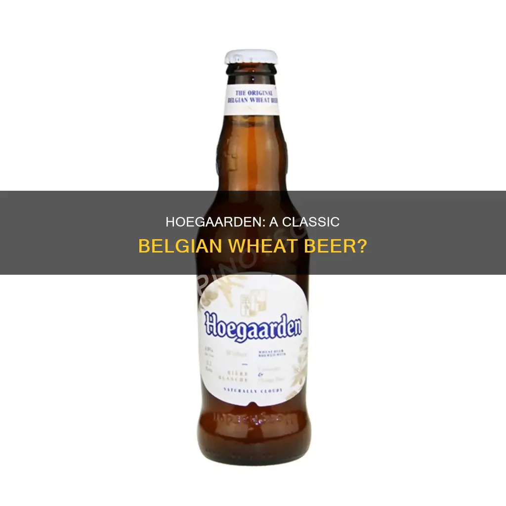 is hoegaarden a wheat beer