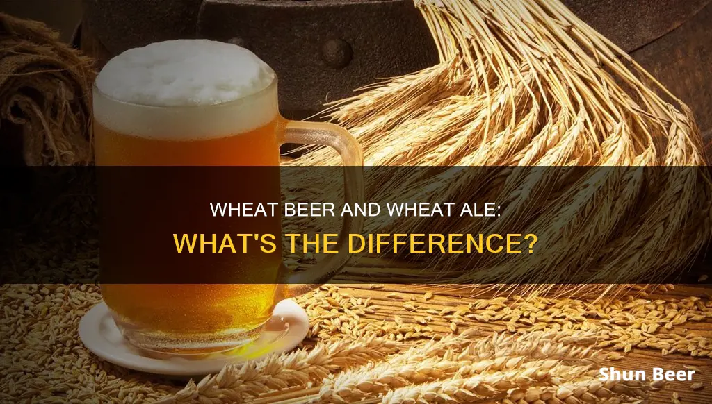 is hweat beer and wheat ale the sale