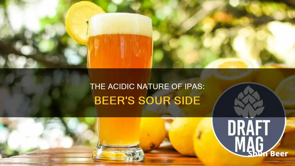 is ipa beer acidic