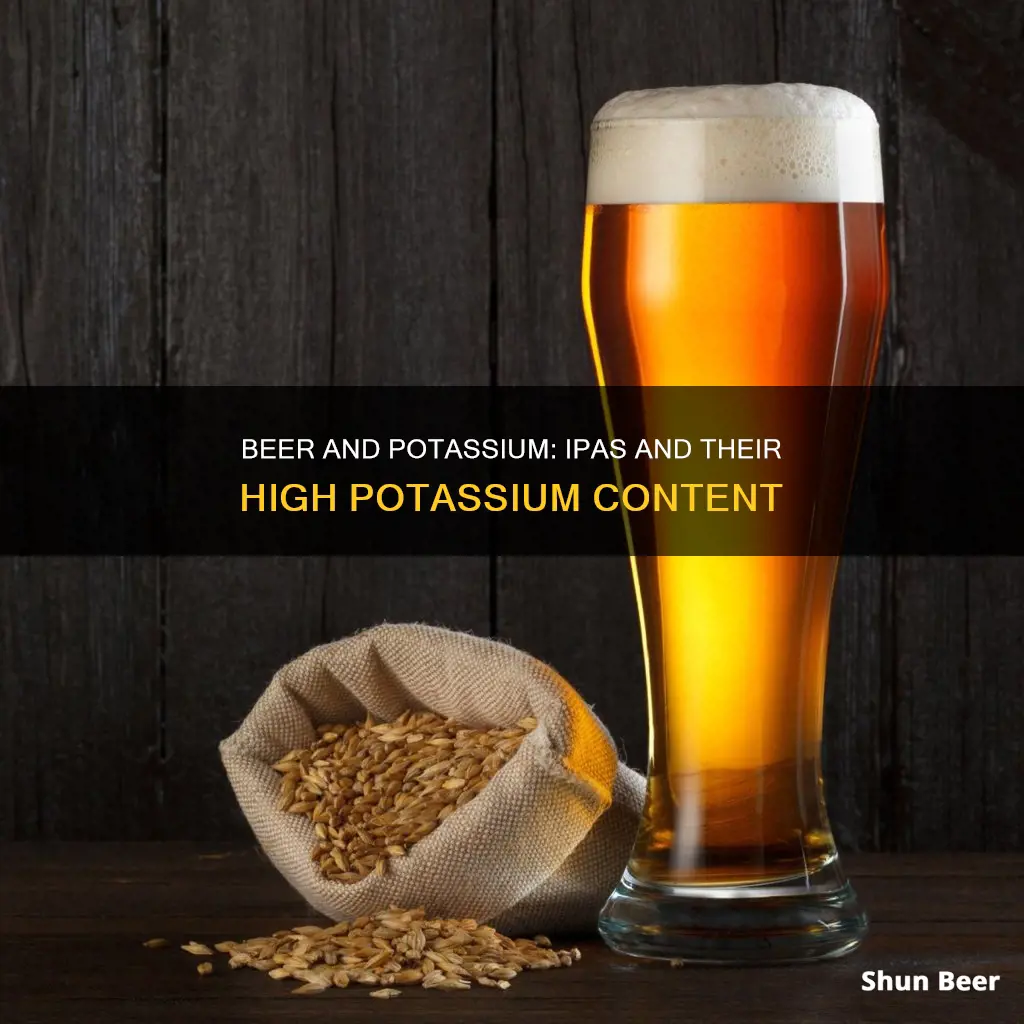 is ipa beer high in potassium