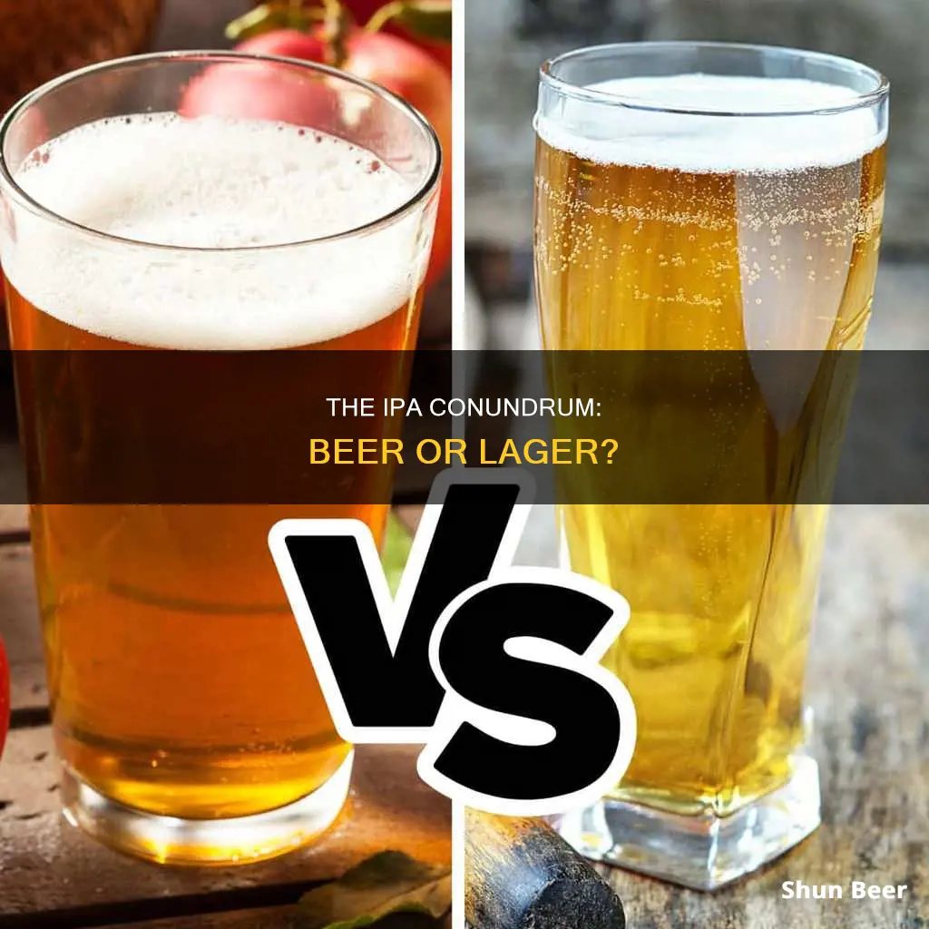 is ipa beer or lager