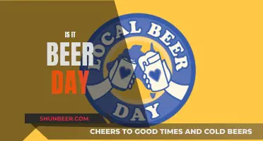 Cheers to Beer: A Daily Ritual