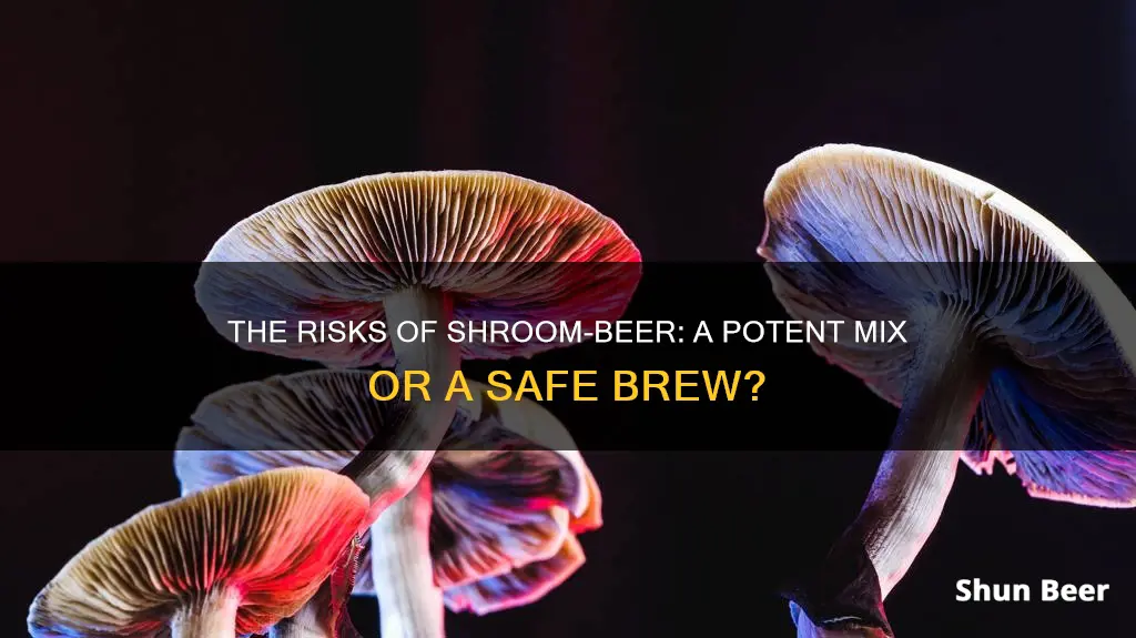 is it dangerous to put shrooms in beer