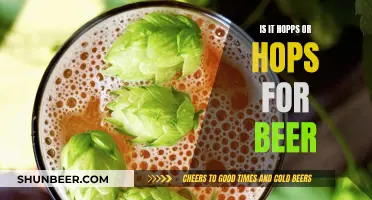 The Beer Conundrum: Hopps or Hops?