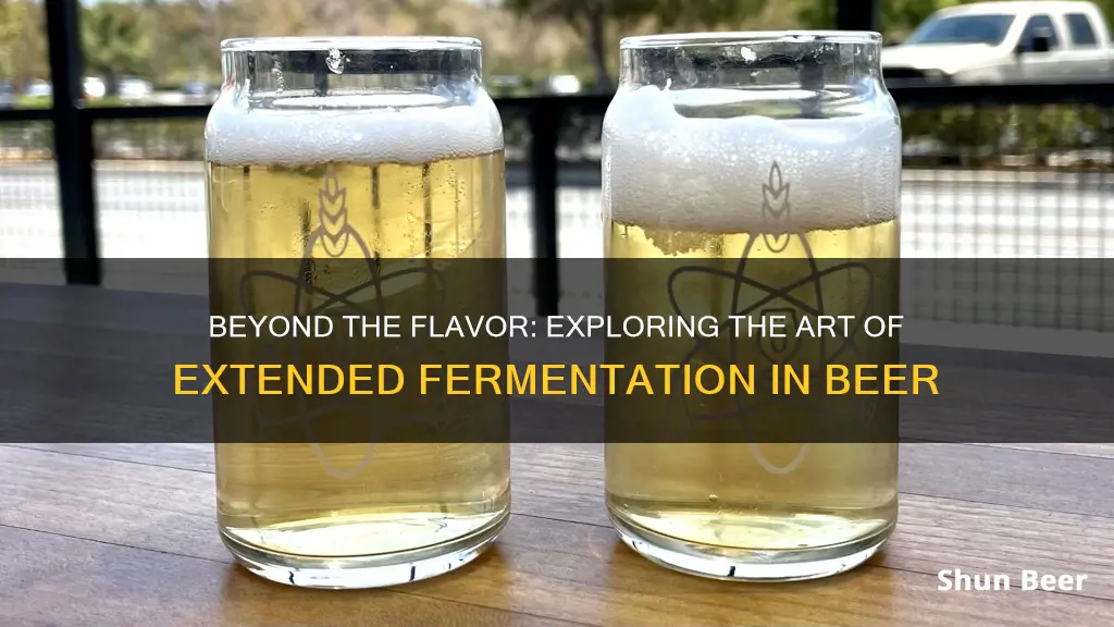 is it necessary to let beer ferment past fg