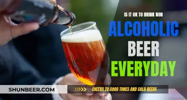 Non-Alcoholic Beer: Healthy Daily Habit or Not?