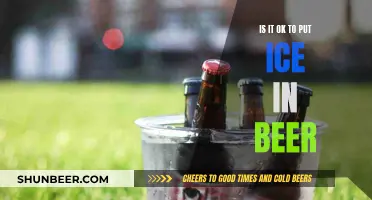 Chilling Beer: Is Ice a Friend or Foe?