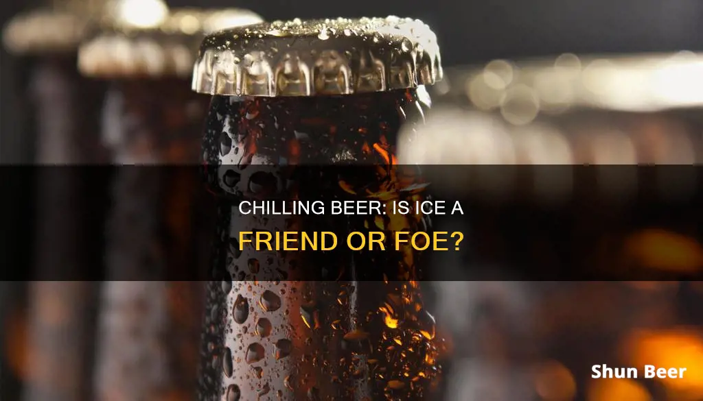 is it ok to put ice in beer