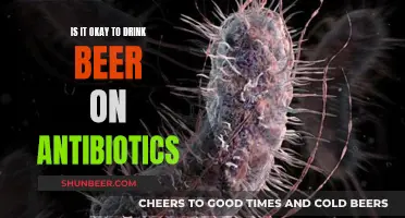 Antibiotics and Alcohol: Is Beer Consumption Safe?