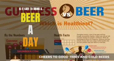 Beer and Health: A Daily Drink, Safe or Not?