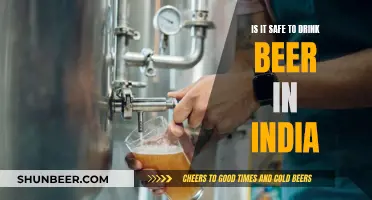 Beer in India: Safe Drinking or Health Hazard?