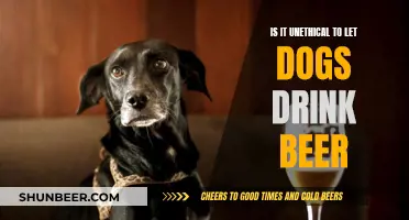 Dogs Drinking Beer: Ethical or Not?