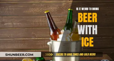 The Ice-Cold Beer Debate: Is It Taboo to Add Ice?