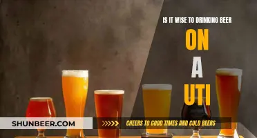 Beer and UTI: Is It Ever Wise to Drink Beer?