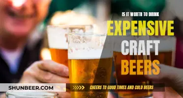 Craft Beer Connoisseurship: Is Price Worth the Taste?