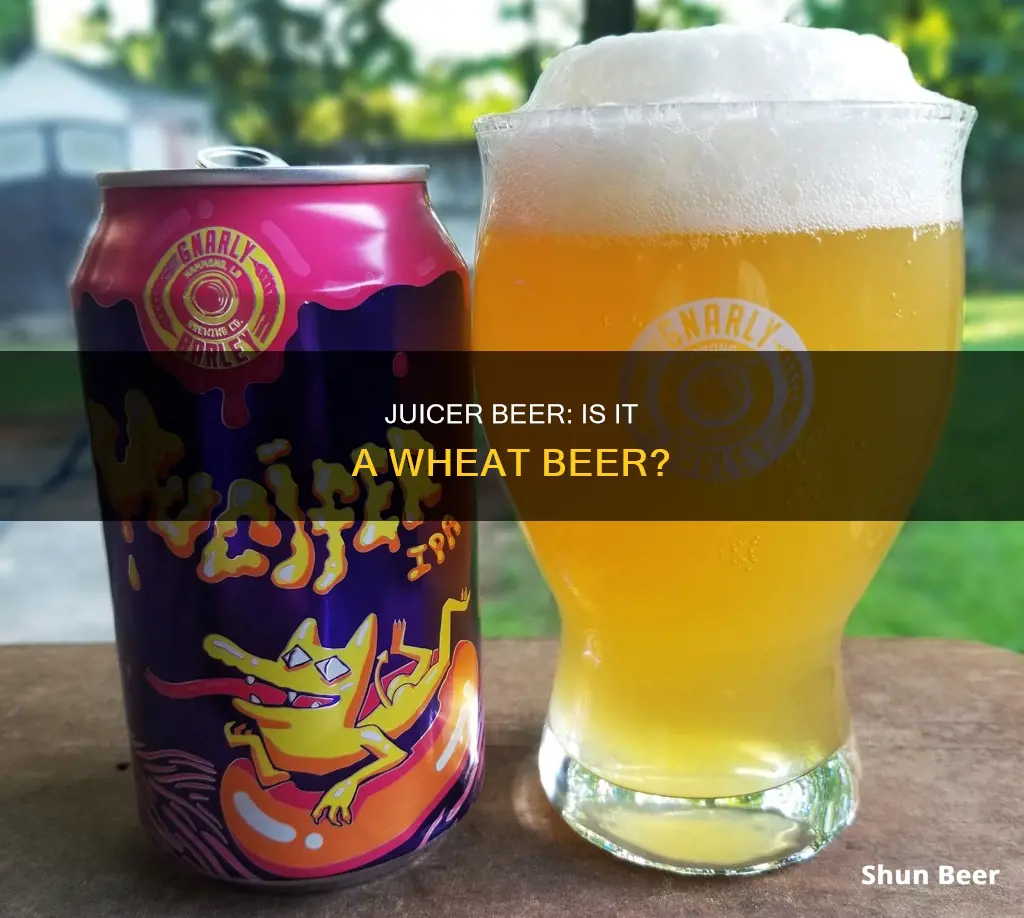 is jucifer beer a wheat beer