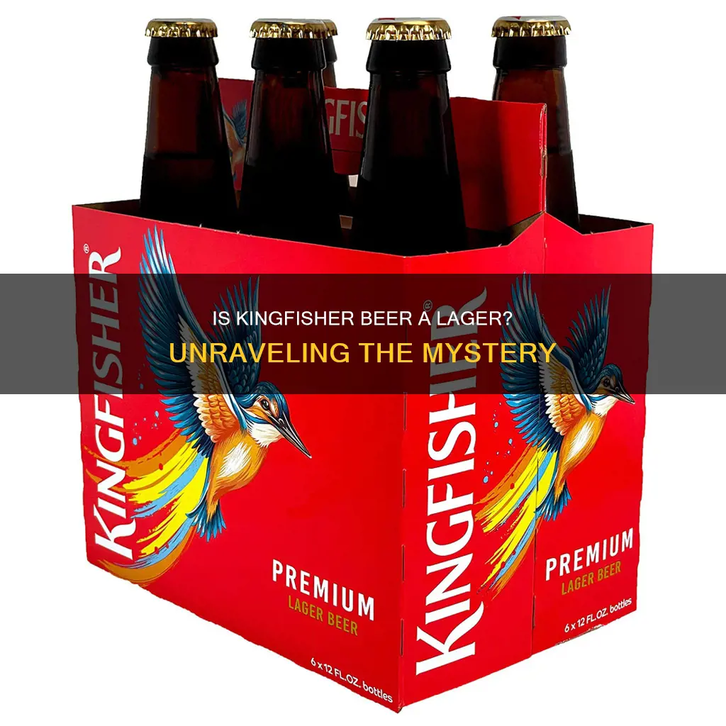 is kingfisher beer a lager