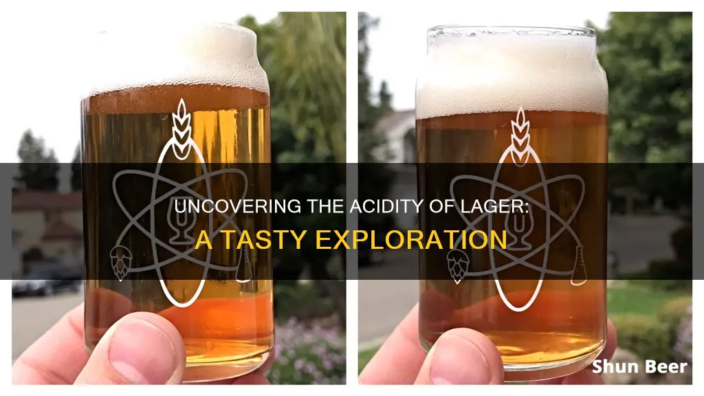 is lager beer acidic