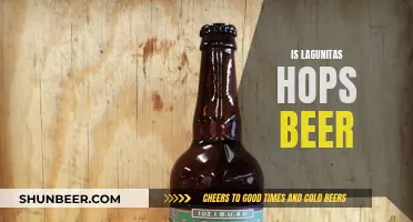 The Unique Taste of Lagunitas Hops Beer