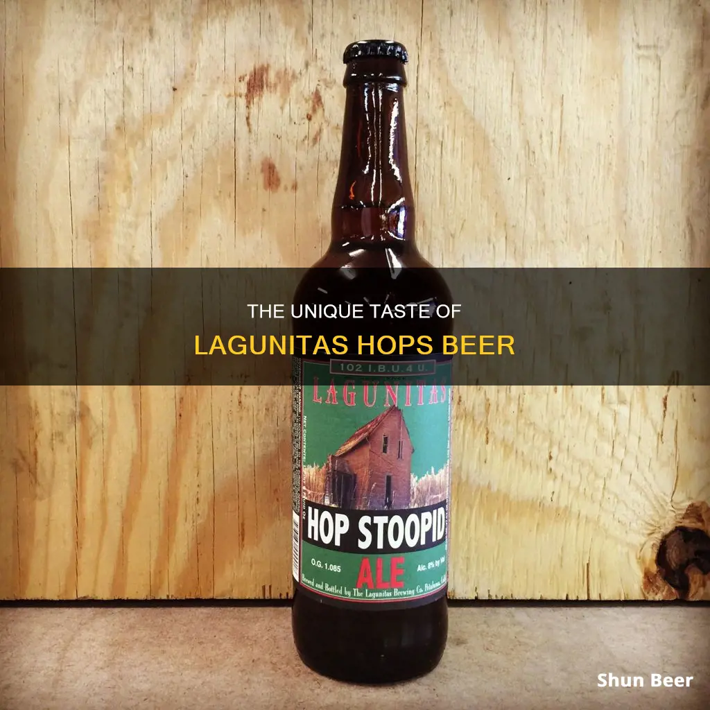 is lagunitas hops beer