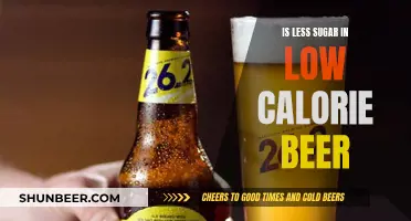 Low-Calorie Beer: Less Sugar, More Flavor?