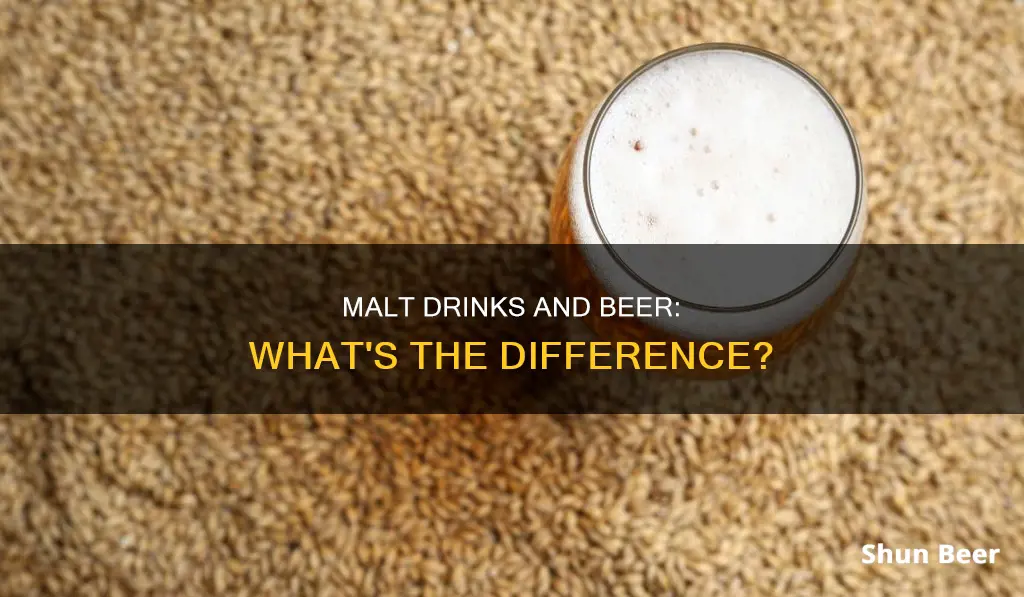 is malt drink a beer