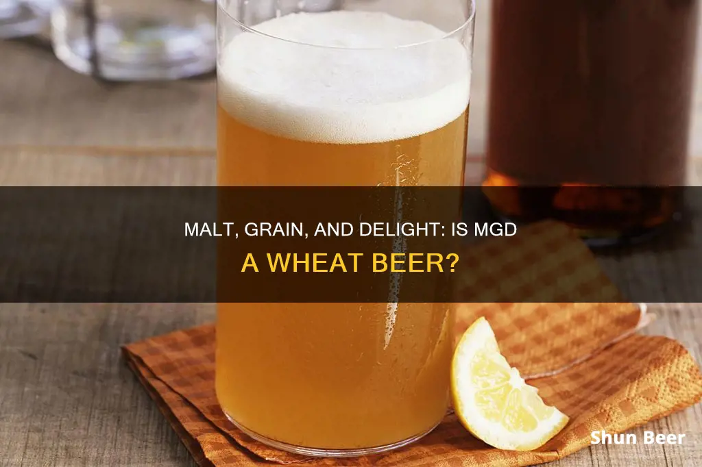 is mgd a wheat beer